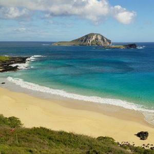 Meet your Posher, Dantheman